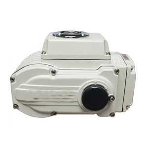 10型-16型電動執(zhí)行器